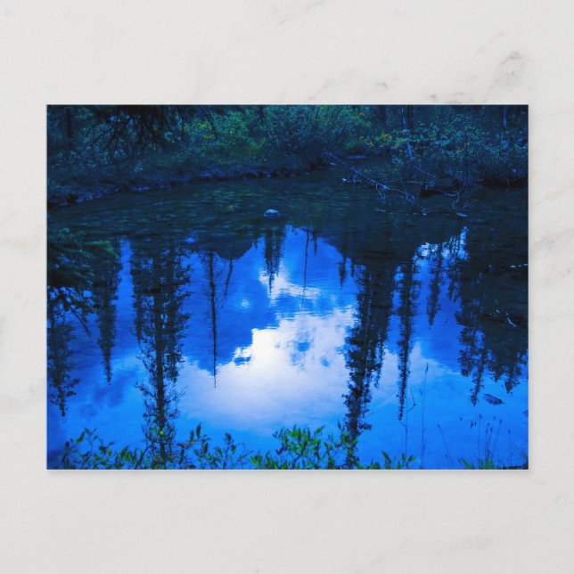Evening Reflections Postcard (Front)