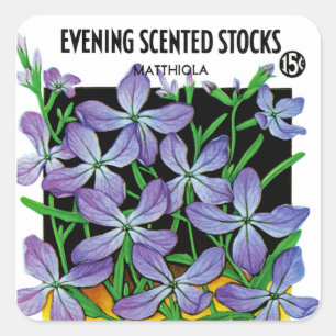 Evening Scented Stocks Seed Packet Label