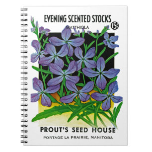 Evening Scented Stocks Seed Packet Label Notebook