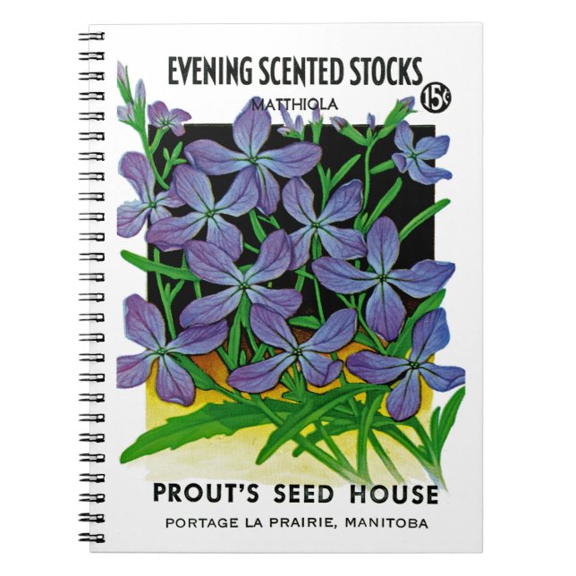 Evening Scented Stocks Seed Packet Label Notebook (Front)