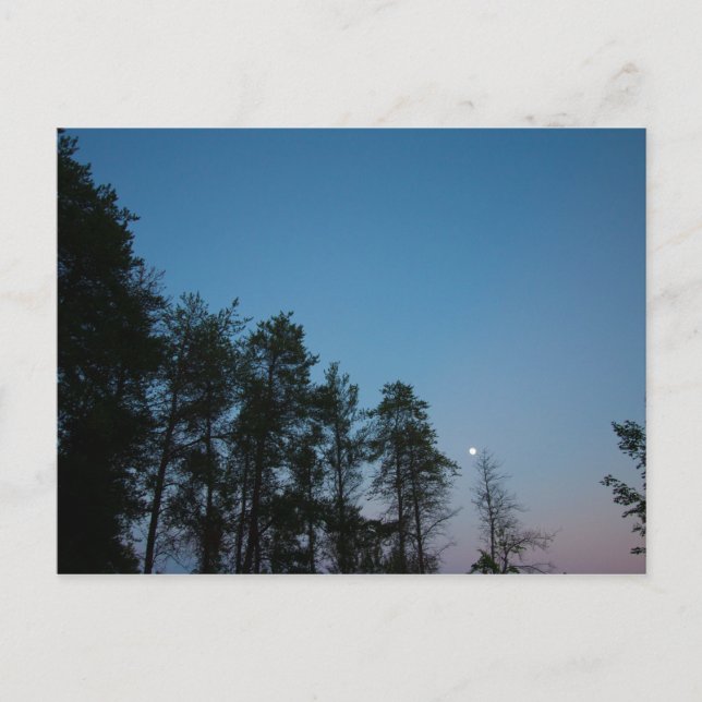 Evening Sky Over Elk Lake, Michigan Postcard (Front)