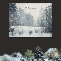 Evening snowfall