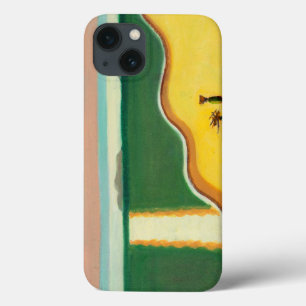 Evening Sun 2010 iPhone 13 Case