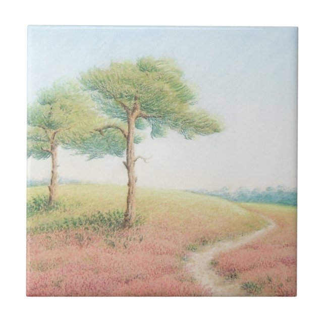 Evening Sun, New Forest Pine Trees Ceramic Tile (Front)