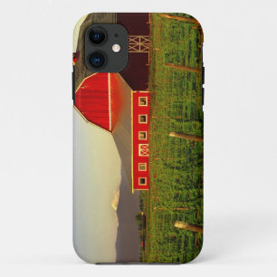 Evening sun on a barn in Washington's Skagit iPhone 11 Case