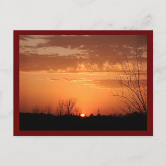 Evening Sun Postcard