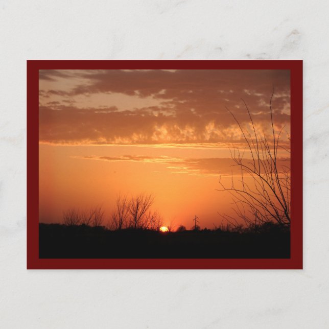 Evening Sun Postcard (Front)