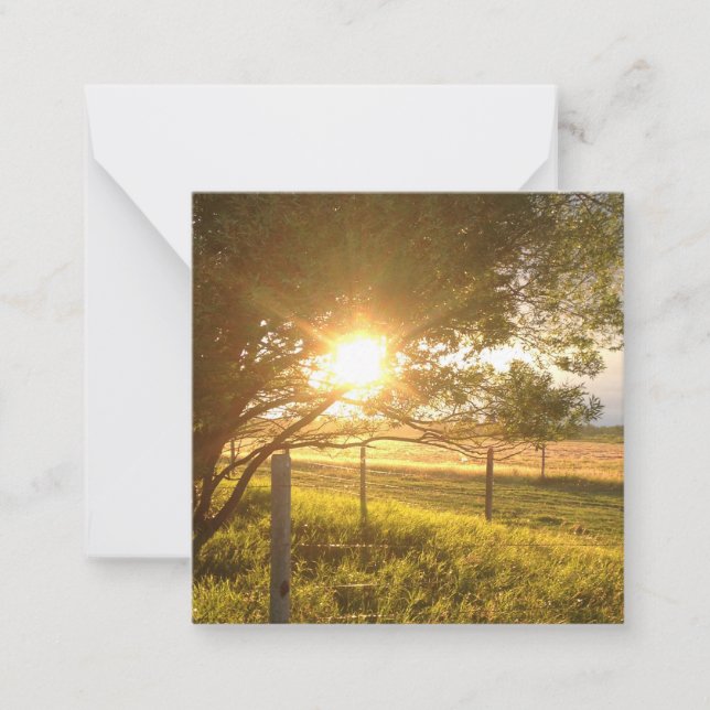 Evening Sunlight Blank Card (Front)