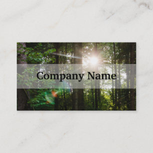 Evening Sunlight In A Forest Landscape Business Card