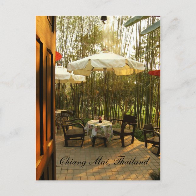 Evening Tea By The Bamboo Grove Postcard (Front)