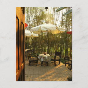 Evening Tea By The Bamboo Grove Postcard