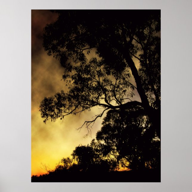 Eveningscapes Poster (Front)