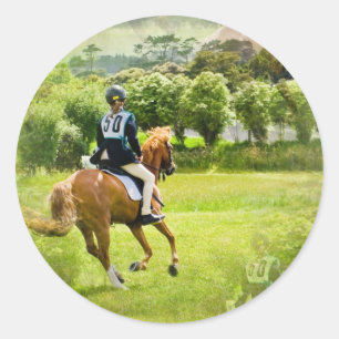 Eventing Horse Stickers