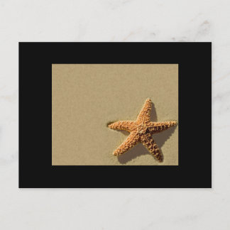 Evento estrellas de mar tropical y la invitación d postcard