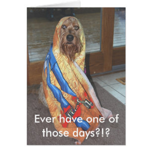 Ever Have One Of Those Days?!?