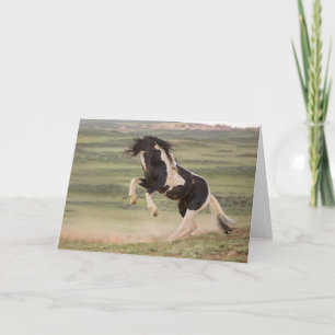 "Ever the Warrior" Note Card