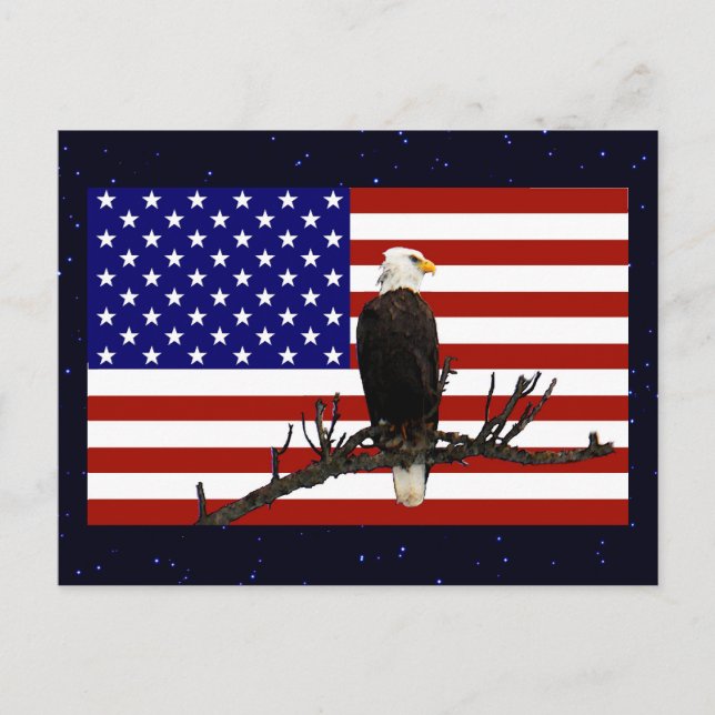 Ever Vigilant Bald Eagle Postcard (Front)