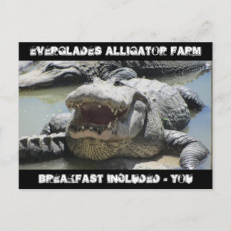 Everglades Alligator Farm - breakfast included - u Postcard