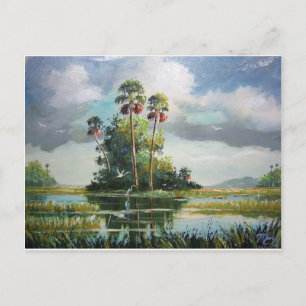 Everglades Art Postcard