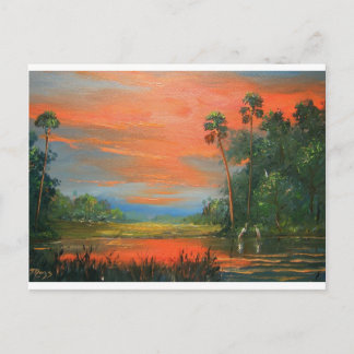 Everglades Fire Sky Postcard