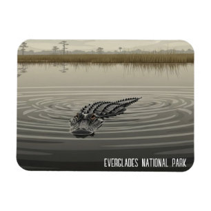 Everglades Florida Alligator Travel Magnet