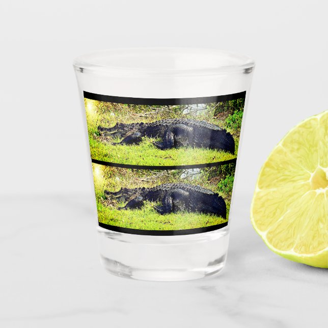 Everglades Gator Shot Glass (Front)