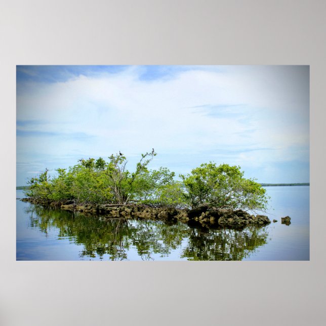 Everglades Mangroves Poster (Front)