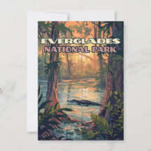 Everglades National Park Alligator Florida Card