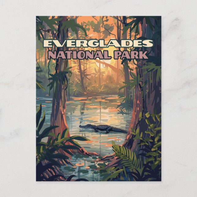 Everglades National Park Alligator Swamp Florida Postcard (Front)