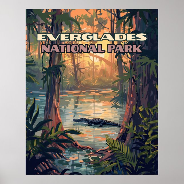 Everglades National Park Alligator Swamp Florida Poster (Front)