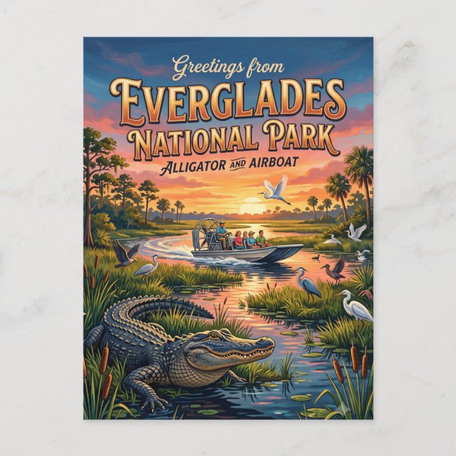 Everglades National Park Florida Postcard (Front)