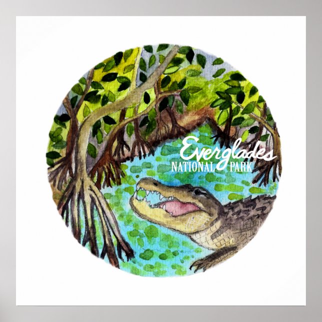 Everglades National Park Florida Watercolor Poster (Front)