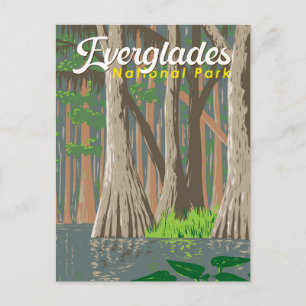 Everglades National Park Illustration Travel Art Postcard
