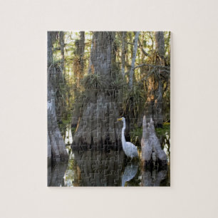 Everglades National Park Jigsaw Puzzle