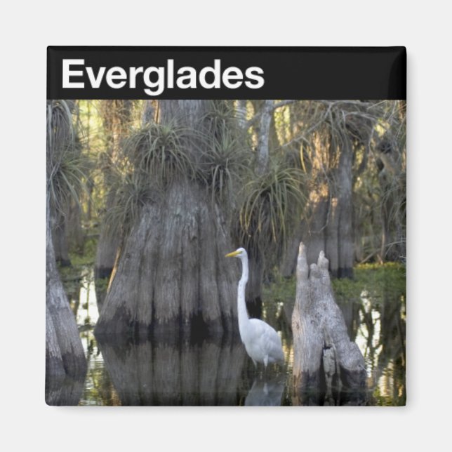 Everglades National Park Magnet (Front)