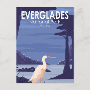 Everglades National Park Night Egret Vintage Postcard