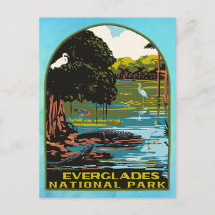 Everglades National Park Postcard