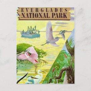 Everglades National Park Postcard