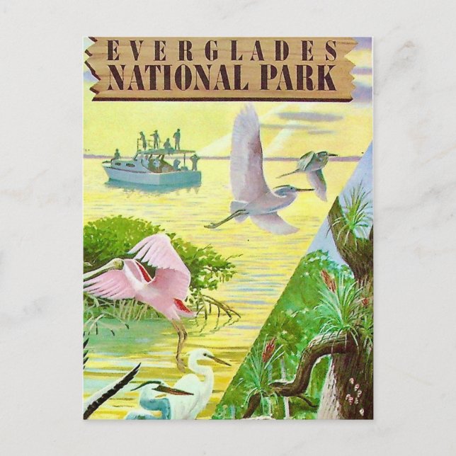 Everglades National Park Postcard (Front)