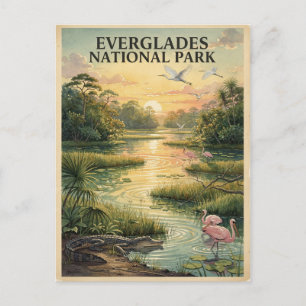 Everglades National Park Wildlife Watercolor Postcard