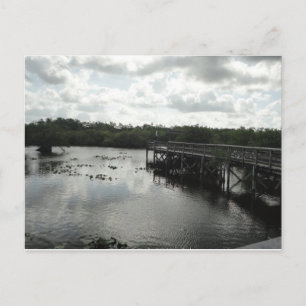 Everglades Postcard