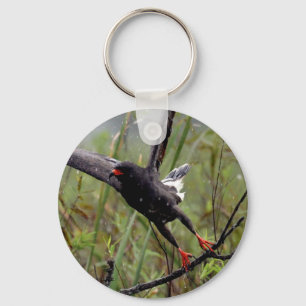 Everglades Snail Kite #1 keychain