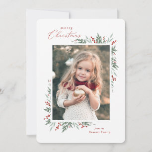 Evergreen and Berries