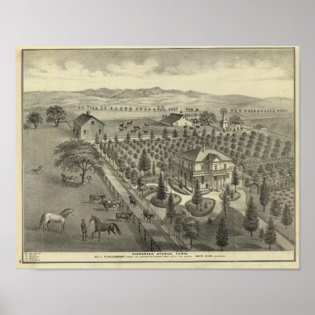 Evergreen Ave Farm Poster (Front)