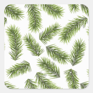 Evergreen Branch Pattern Square Sticker