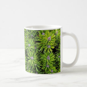 Evergreen branches coffee mug