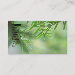 Evergreen Business Card