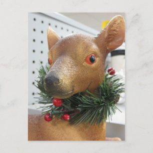 Evergreen Deer Postcard
