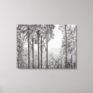 Evergreen forest in winter canvas print