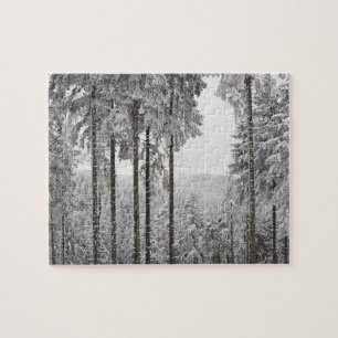 Evergreen forest in winter jigsaw puzzle